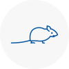 Mice Exterminators In Becontree